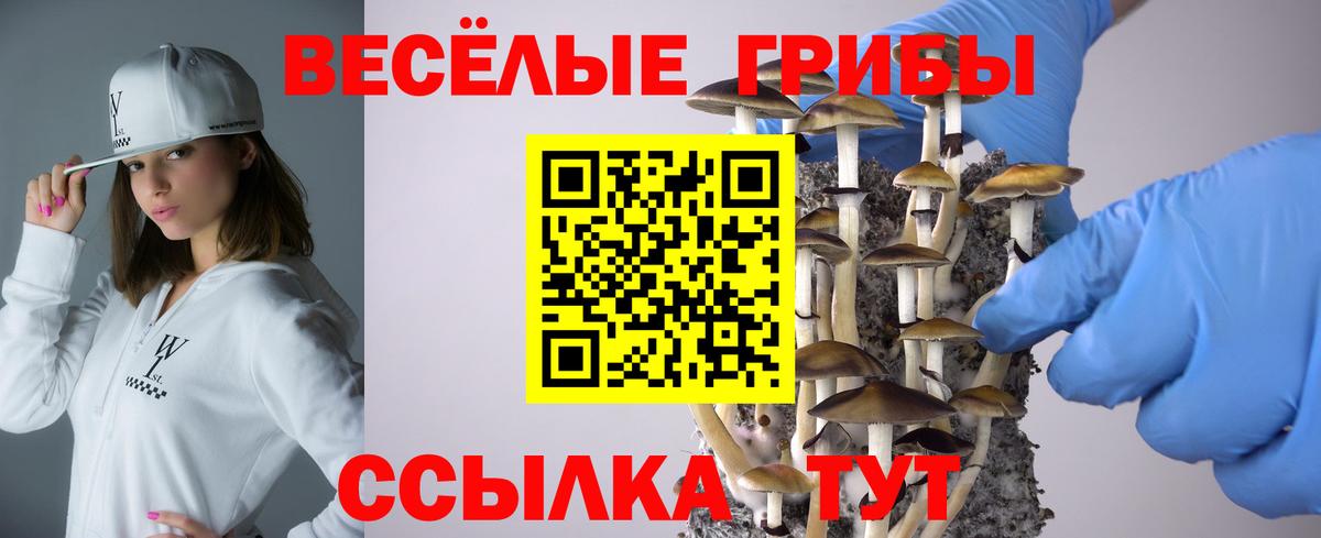 Оренбург  Галлюциногенные грибы Magic Shrooms  Вход с VPN 